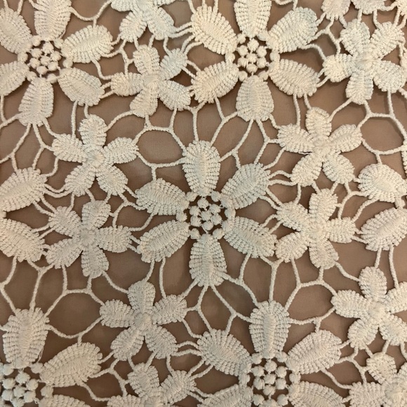 Lace Skirt - Picture 5 of 7